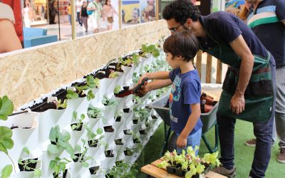 Workshops de Horticultura para niños y adultos – Huerta Vertical